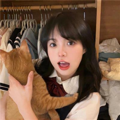 红狐